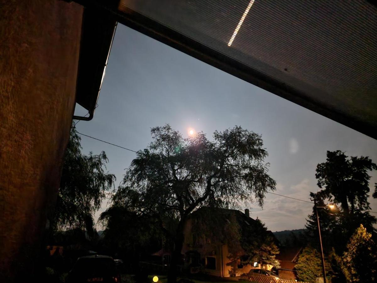 Penzion U Jezevce Hřensko Exterior foto